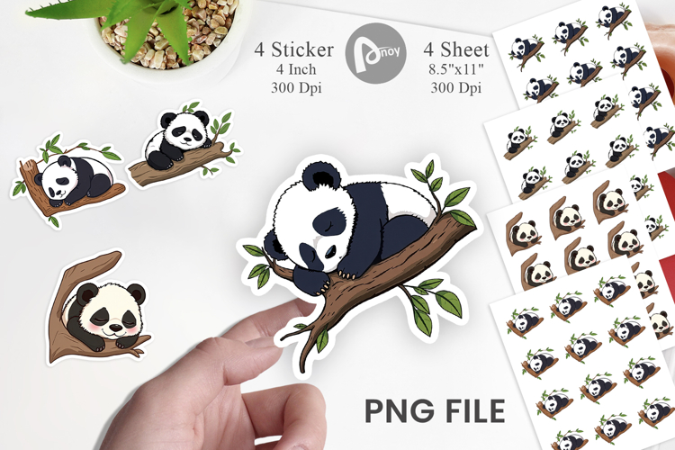 Panda Png Image 12