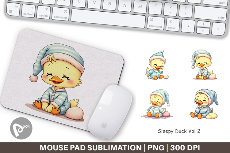 Duck Png Image 22