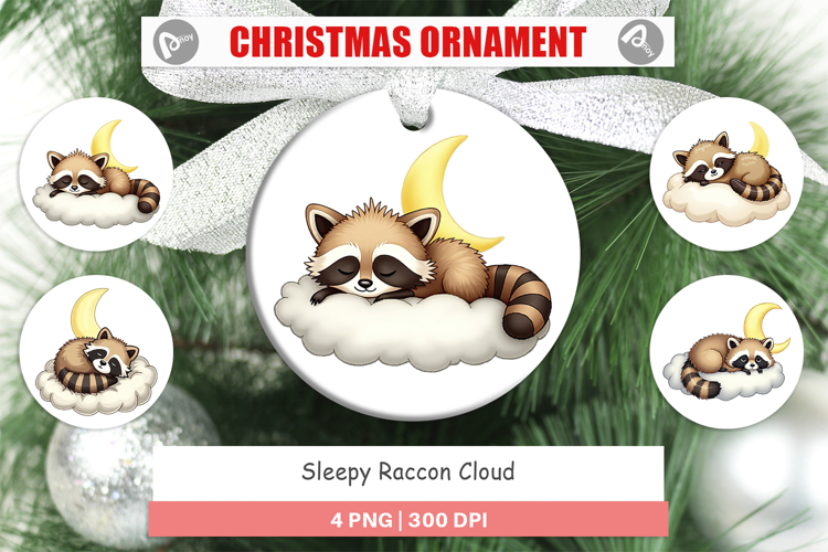 Raccoon Clipart Image 5