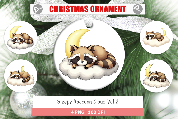 Raccoon Clipart Image 4