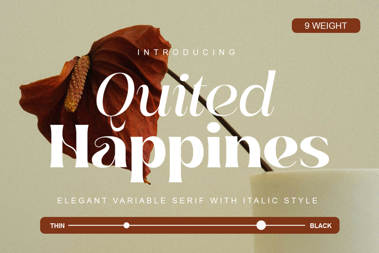 Quited Happines - Variable Elegant Font