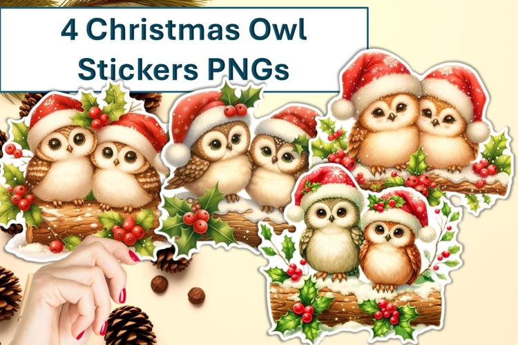 4 Cute Christmas Owl Stickers PNG