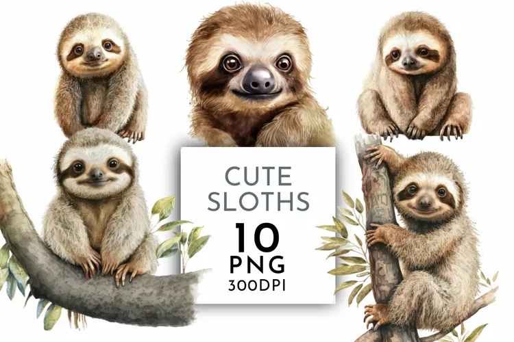 Cute Sloth Clipart | Watercolor Clipart PNG