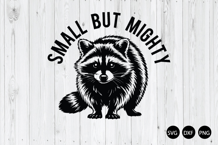 Raccoon Png Image 5