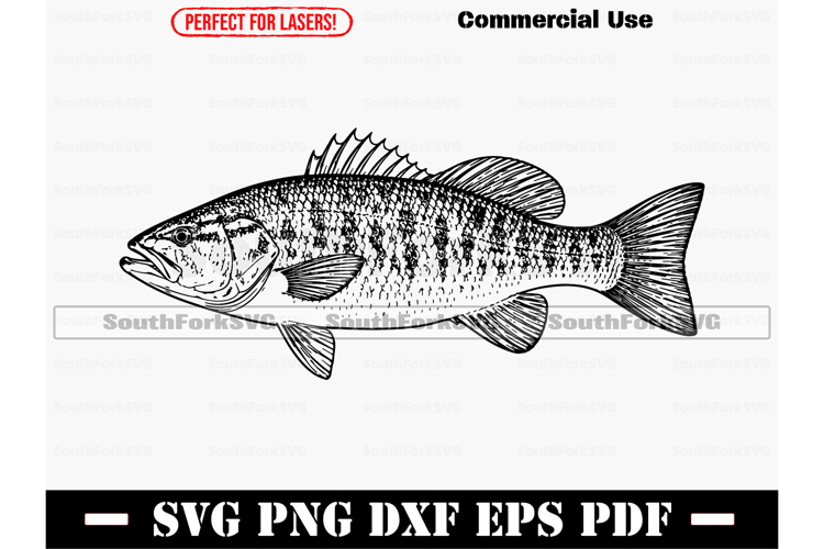 Smallmouth Bass SVG PNG EPS PDF DXF