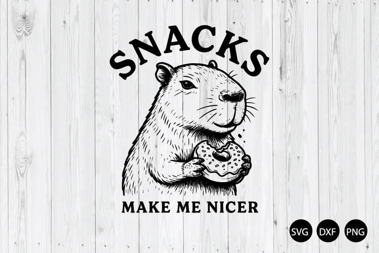 Snacks Make Me Nicer SVG, Raccoon Meme SVG