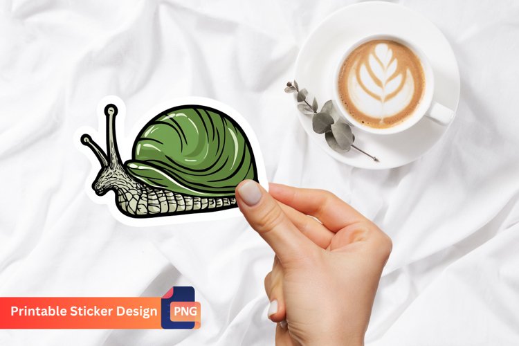 Snail Illustration
