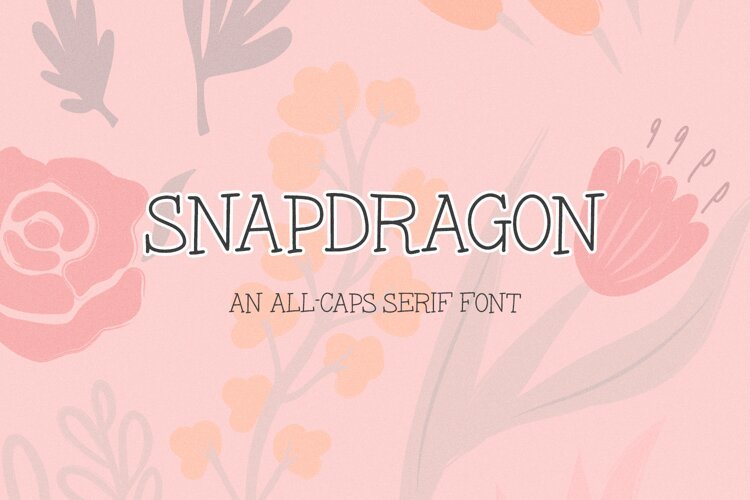Snapdragon Serif Font example image 1