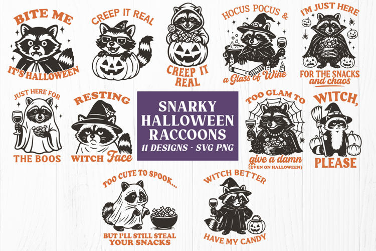 Raccoon Clipart Image 22