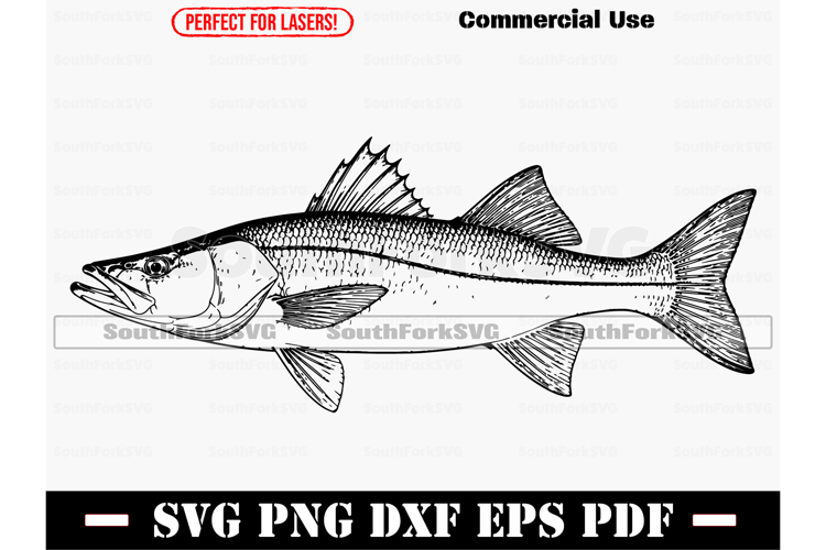 Fish Graphic Image 12
