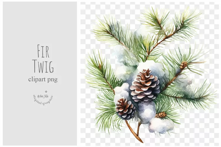 Fir Twig