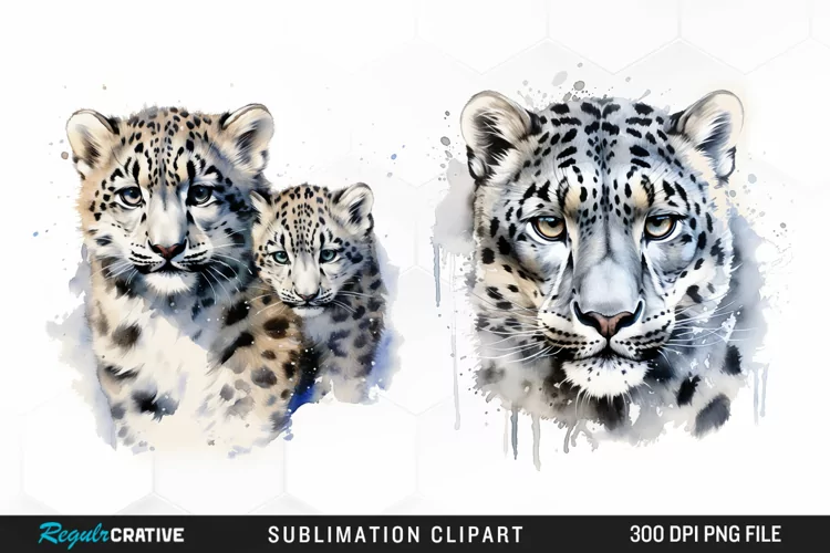 Watercolor Snow Leopard Sublimation PNG Clipart