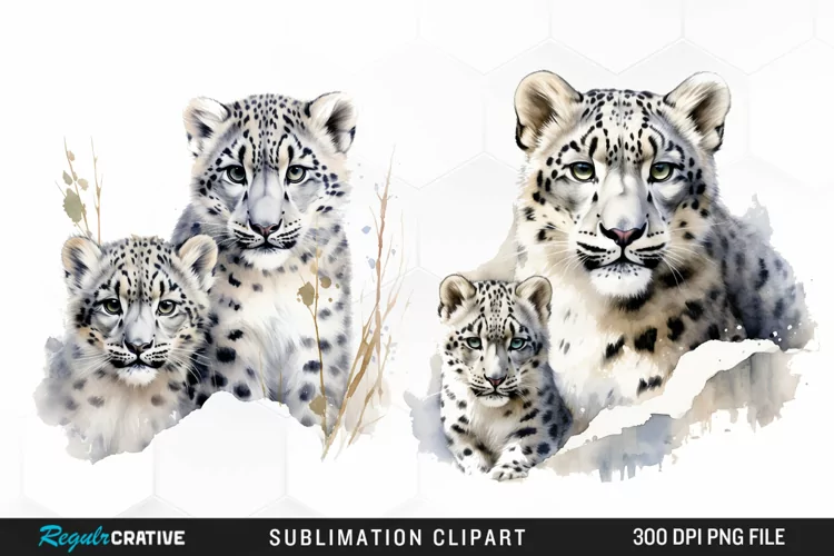 Watercolor Snow Leopard Sublimation PNG Clipart