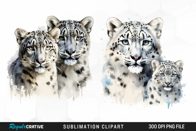 Watercolor Snow Leopard Sublimation PNG Clipart