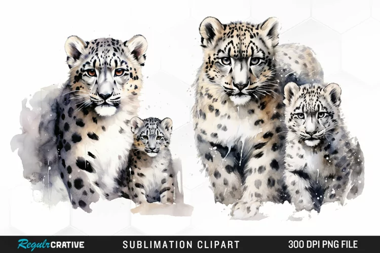 Watercolor Snow Leopard Sublimation PNG Clipart