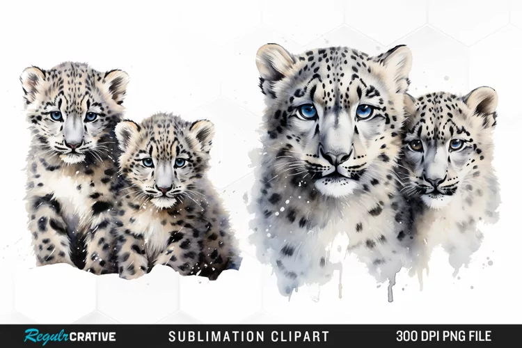 Watercolor Snow Leopard Sublimation PNG Clipart