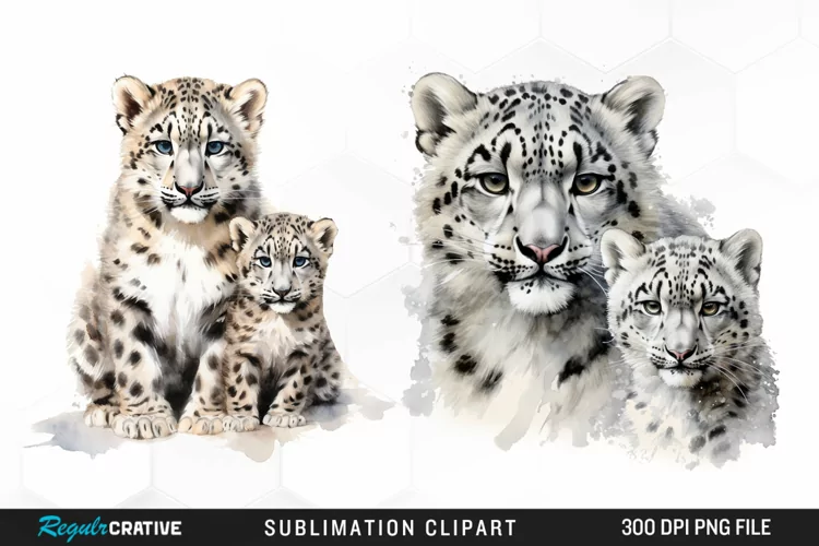Watercolor Snow Leopard Sublimation PNG Clipart