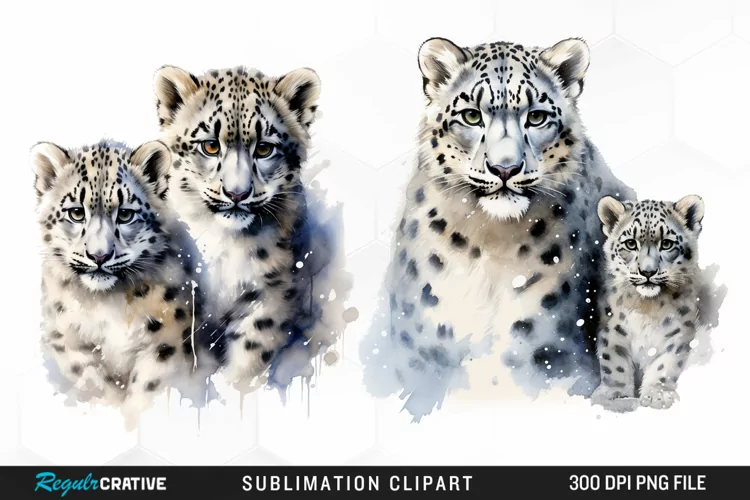 Watercolor Snow Leopard Sublimation PNG Clipart