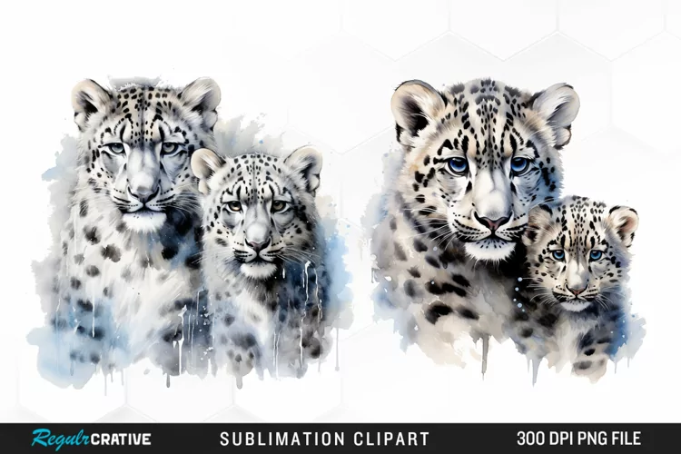 Watercolor Snow Leopard Sublimation PNG Clipart