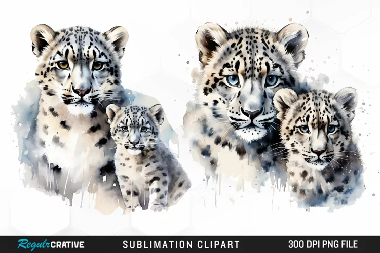 Watercolor Snow Leopard Sublimation PNG Clipart