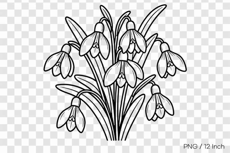 Flower Drawing Png Image 11