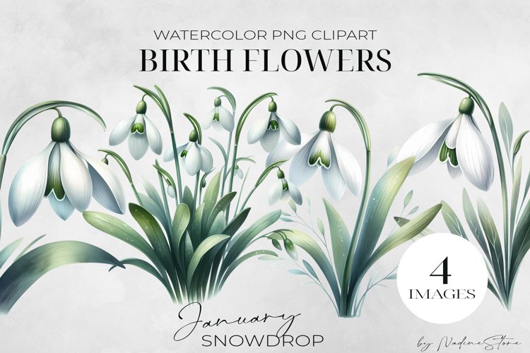 Birth Month Flowers Image 14