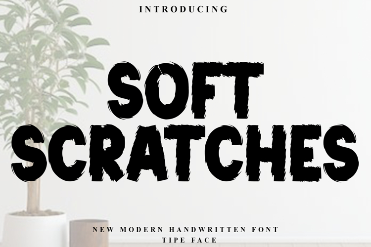 Soft Scratches example image 1