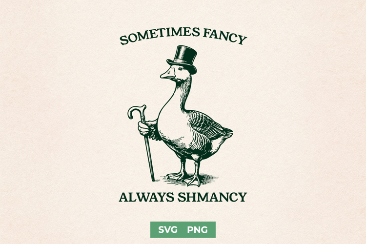 Fancy Squiggly Lines Clipart