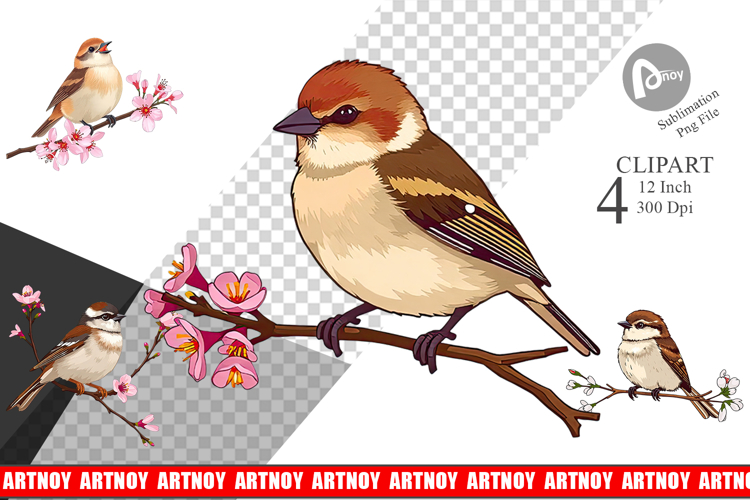 Spring Clipart Image 9