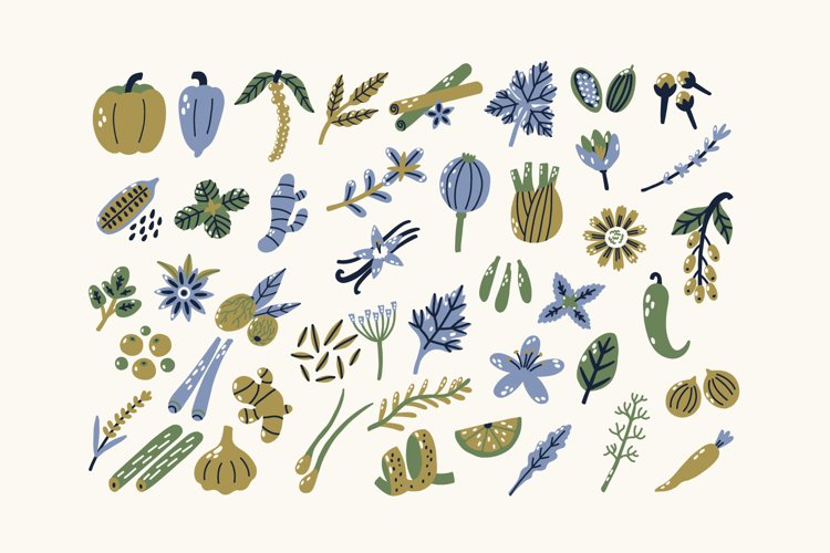 Seed Clipart Image 16