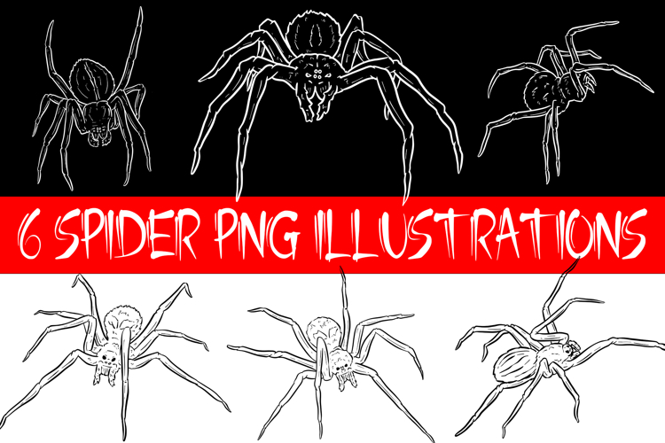 6 Spider PNG Illustrations Creepy Horror & Halloween Clipart