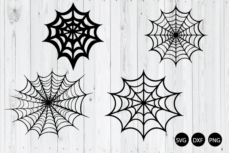 Spider Clipart Image 14