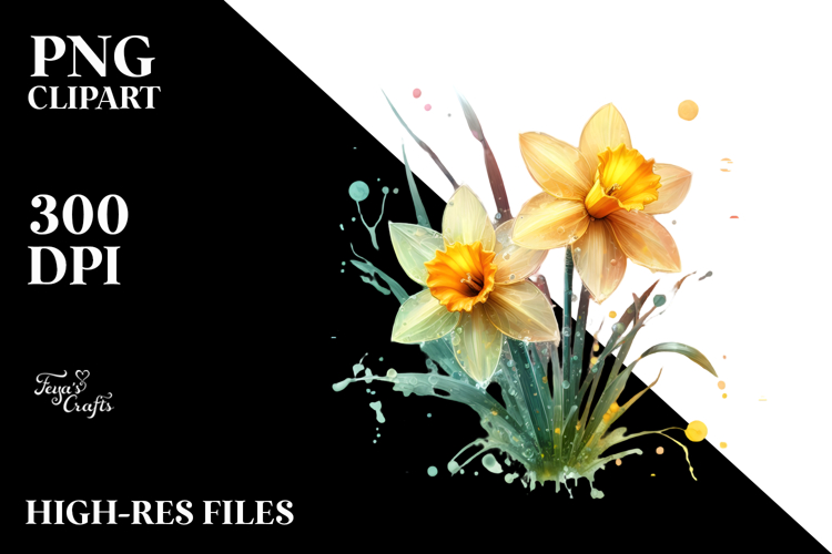 Daffodil Clipart Image 13