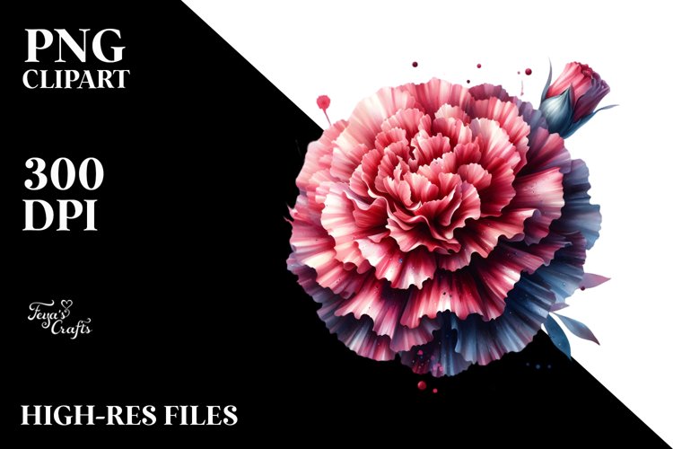 Glossy Watercolor Carnation Material Splash