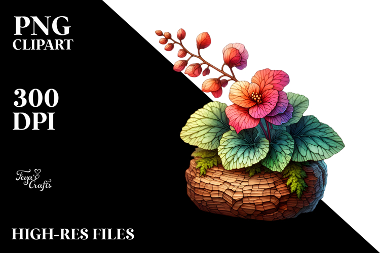 Summer Fonts Image 11