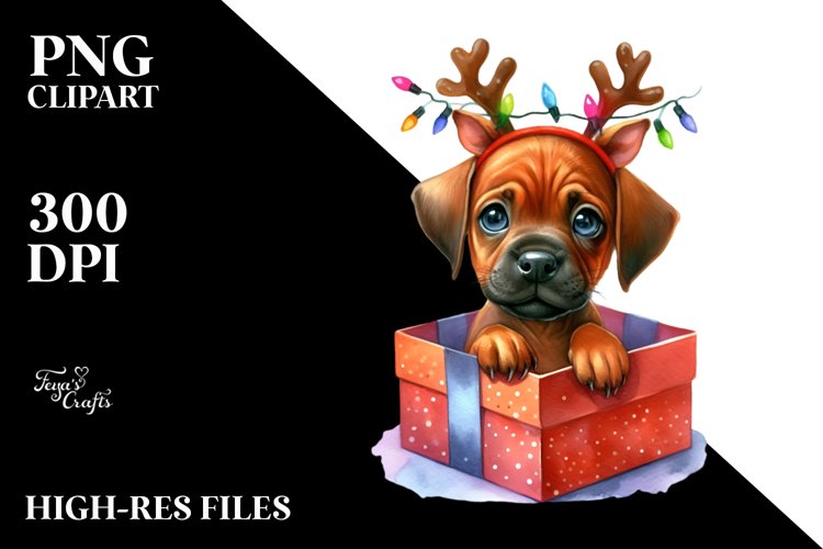 Expressive Baby Rhodesian Ridgeback, High-Res PNG example image 1