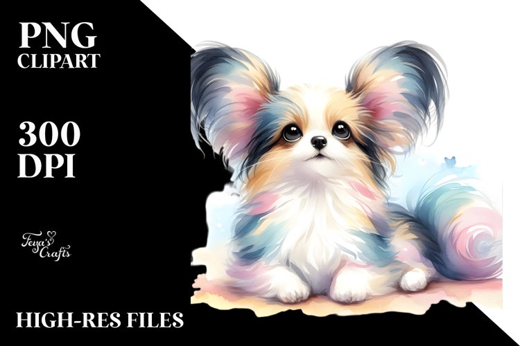 Papillon Sitting and Looking Up, PNG example image 1