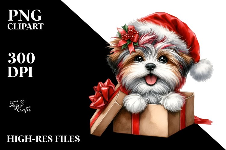 Enthusiastic Havanese PNG