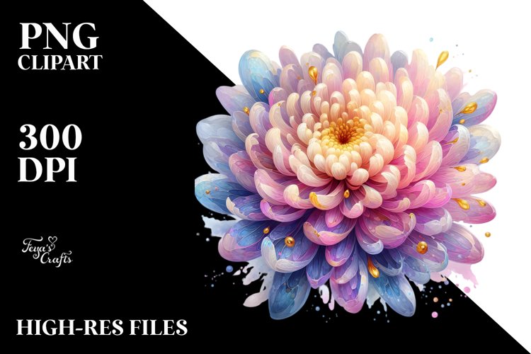 Chrysanthemum in Pastel, Translucent PNG