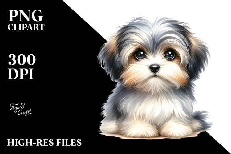 Baby Havanese Watercolor Clipart | Sublimation