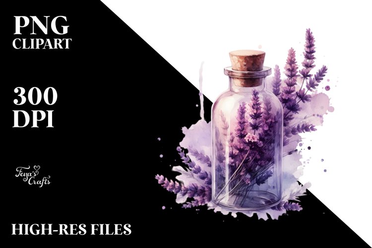 Lavender Flower Png Image 9