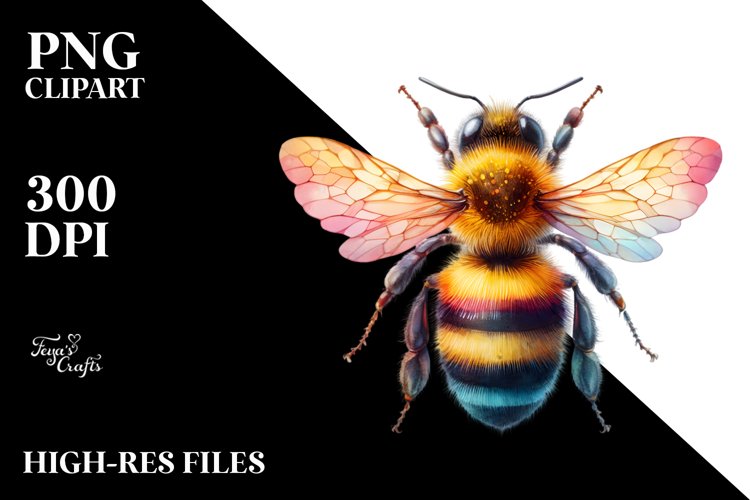 Bee Clipart Image 18
