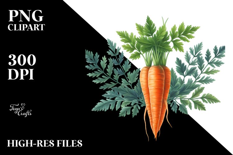 Carrot Png Image 14