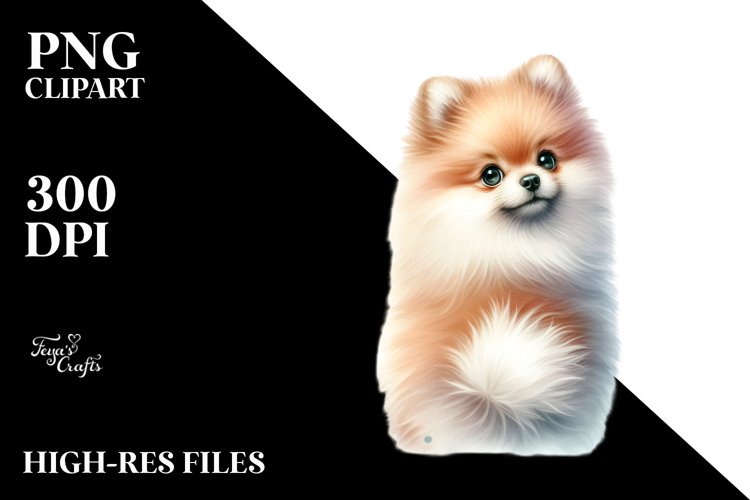 Pomeranian Clipart Image 4