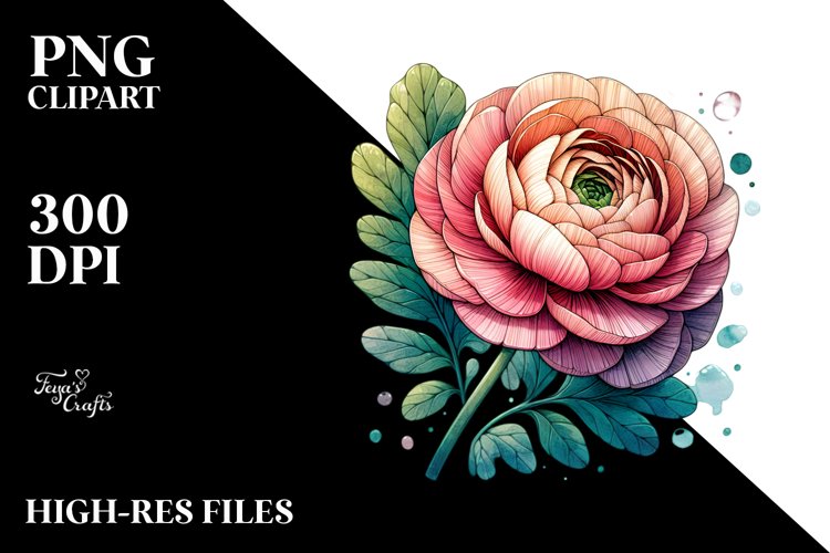 Wooden Stained Ranunculus Watercolor | Clipart