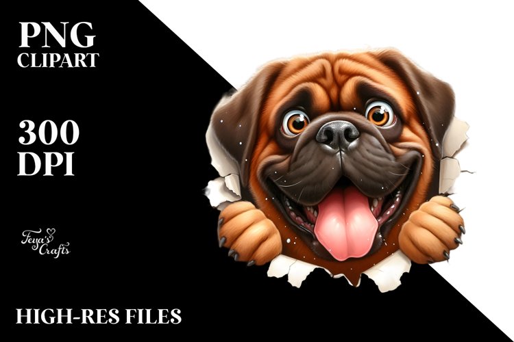 Eyes Clipart Image 24