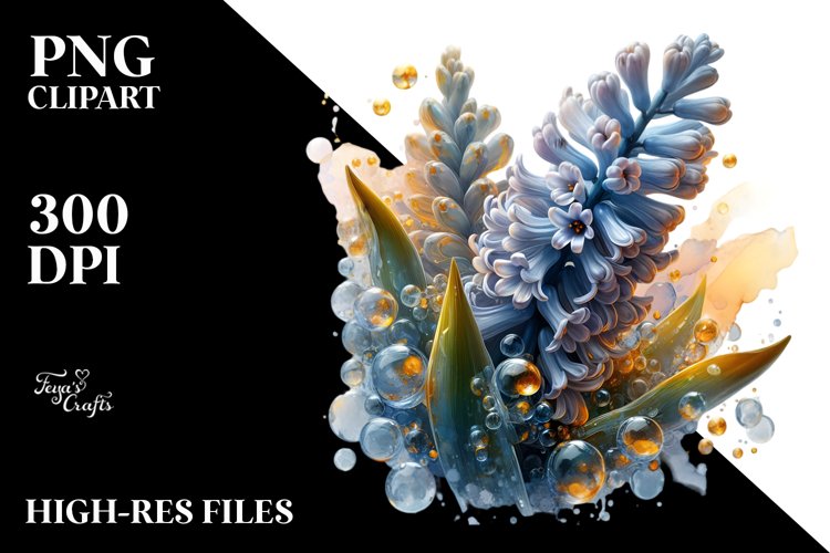 Shiny -like Hyacinth | Clipart