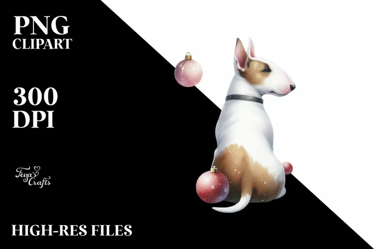 a Cute Bull Terrier with Christmass Decorations PNG