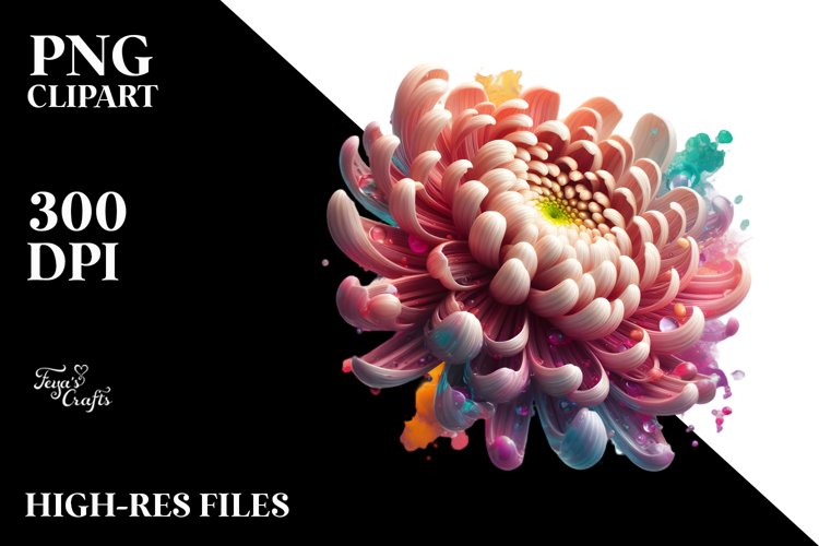 Glossy Chrysanthemum