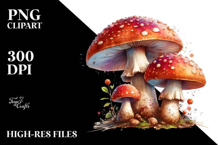 Mushroom Png Image 3